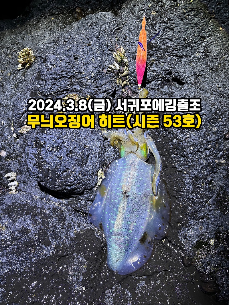 82863f3118e15ea4cc67ce6d1f5949b7_1709953144_7357.jpg 82863f3118e15ea4cc67ce6d1f5949b7_1709953144_7357.jpg